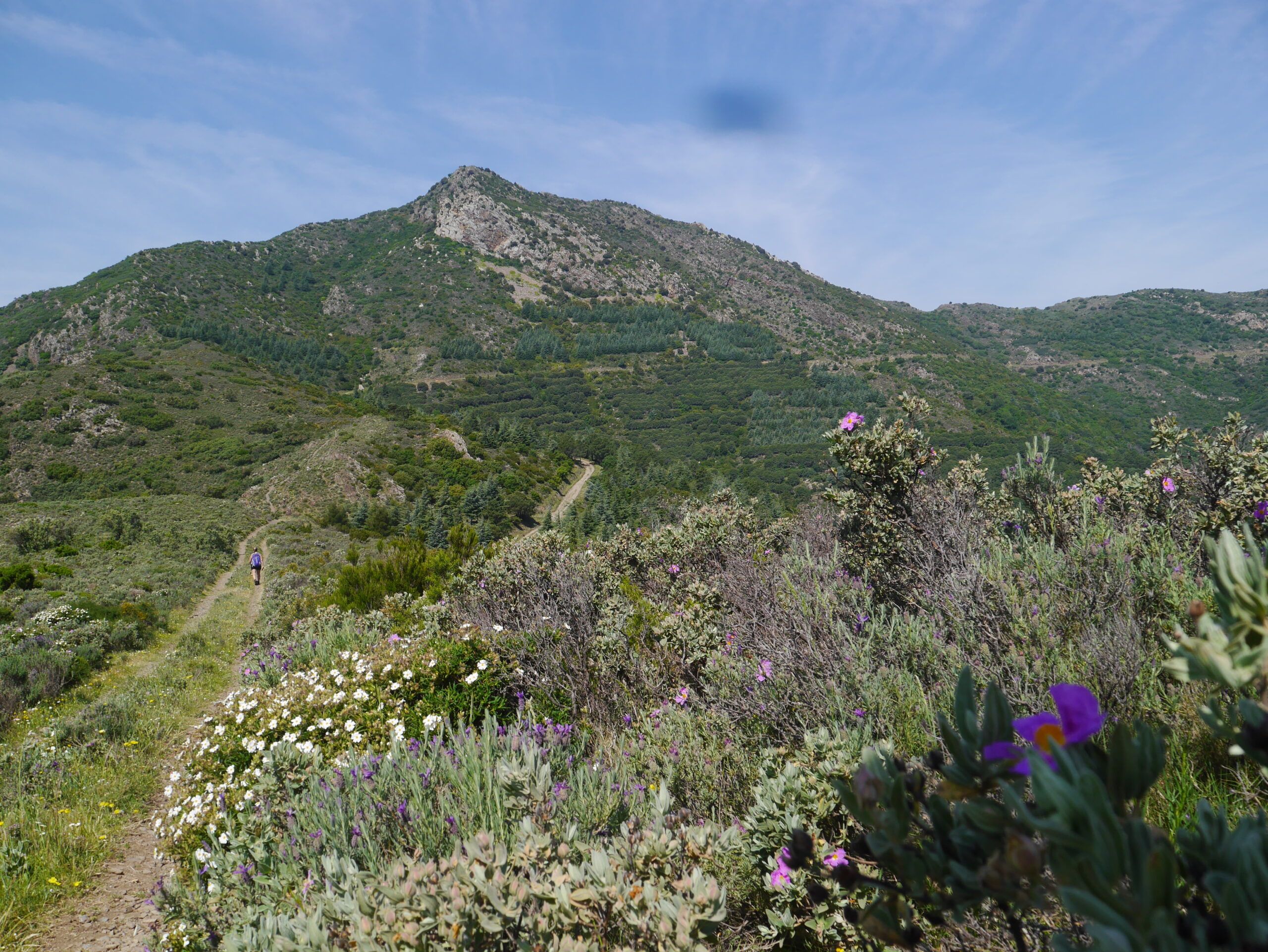 trek collioure cadaques