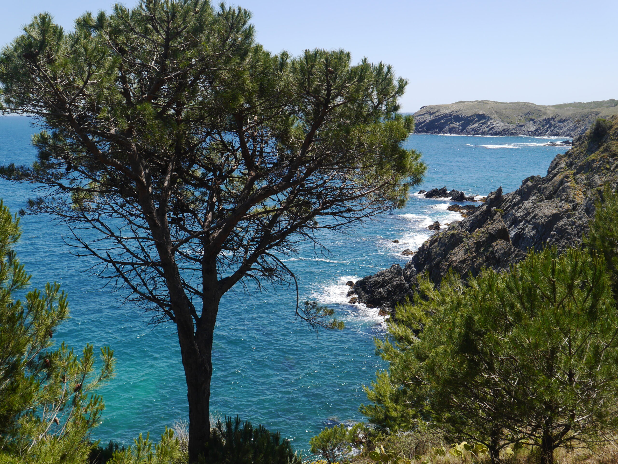 Séjour randonnée Banyuls 