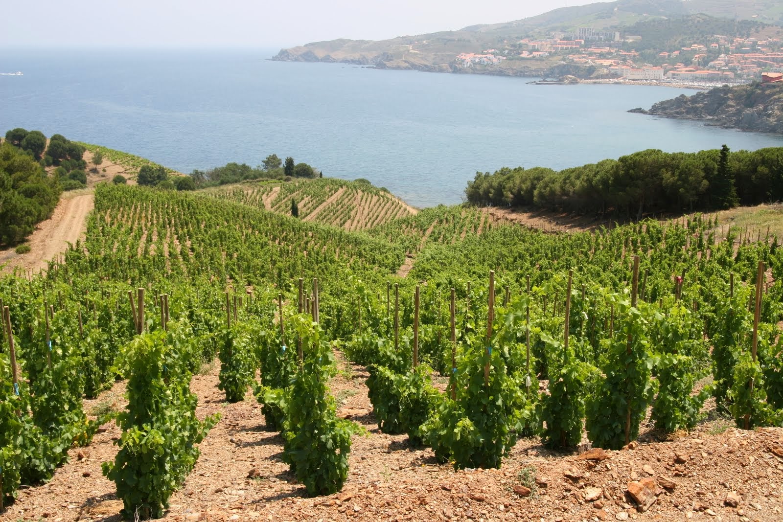 Séjour randonnée Banyuls 